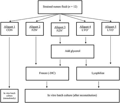 Preservation Method of Rumen Fluid Collected From Harvested Cattle Alters in vitro Digestibility of Reference Feedstuffs